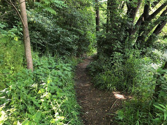 West Deane Park