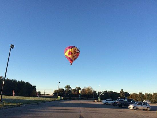 Skyward Balloons