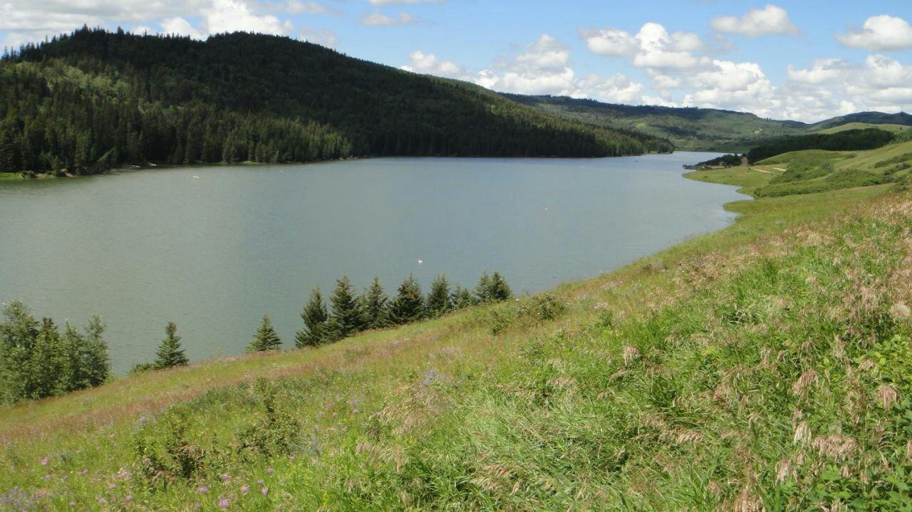 Cypress Hills Provincial Park