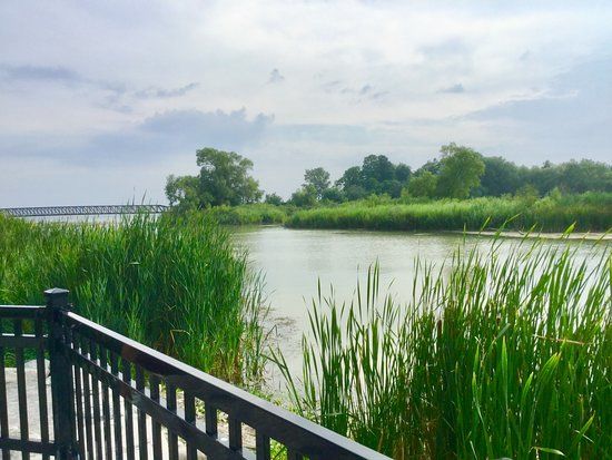 Rotary Park