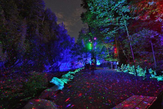 Foresta Lumina
