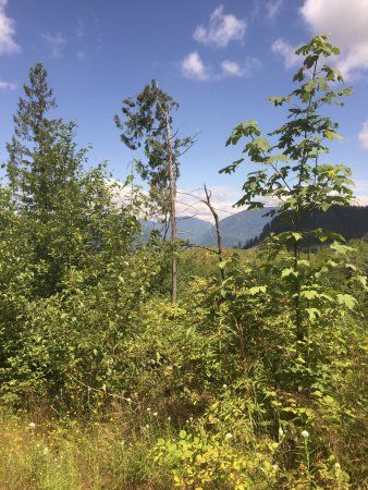 Sumas Mountain Inter-Regional Park